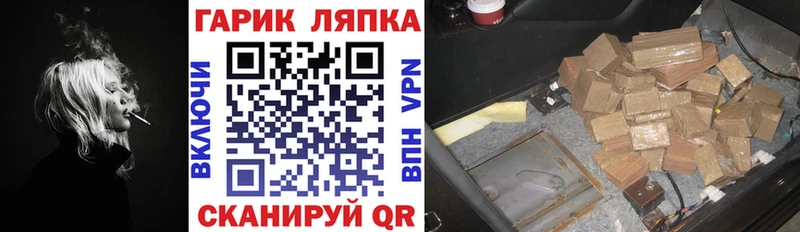 ГАШ Premium Красково