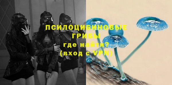 ГАЛЛЮЦИНОГЕННЫЕ ГРИБЫ Абаза