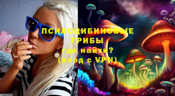 ГАЛЛЮЦИНОГЕННЫЕ ГРИБЫ Абаза