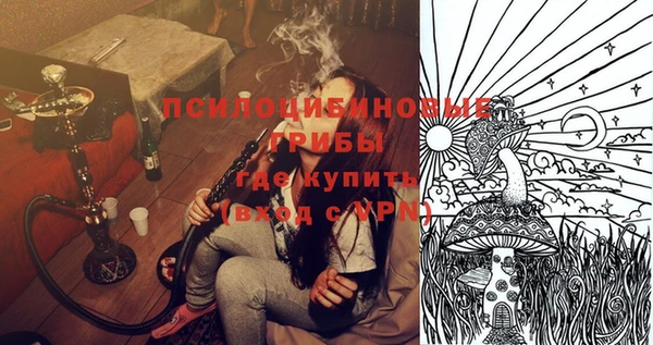 ГАЛЛЮЦИНОГЕННЫЕ ГРИБЫ Абаза