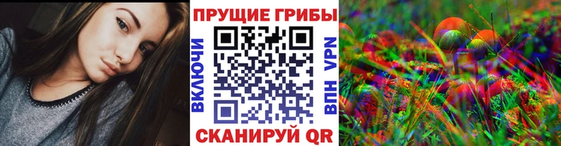 купить наркотик  MEGA   Псилоцибиновые грибы MAGIC MUSHROOMS  Красково 